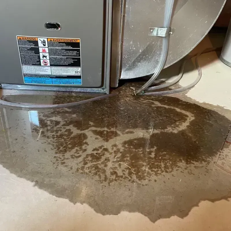 Appliance Leak Cleanup in Berkeley, IL